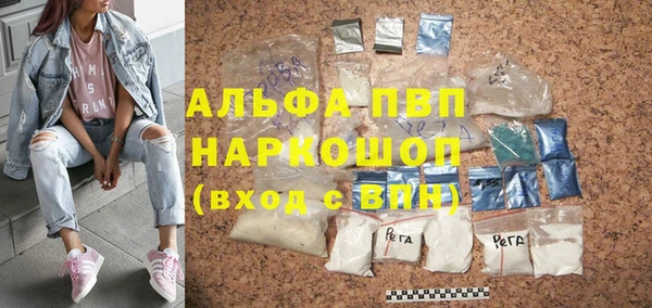 стаф Новодвинск