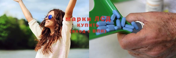 стаф Новодвинск