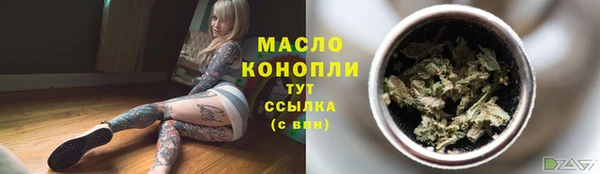 стаф Новодвинск