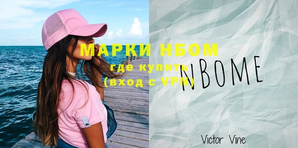 стаф Новодвинск
