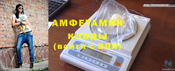 стаф Новодвинск