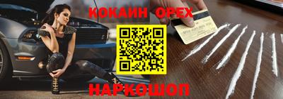 крисы Дубна