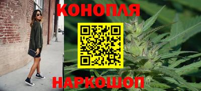 крисы Дубна