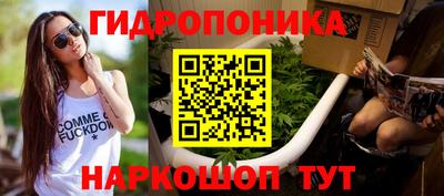 крисы Дубна