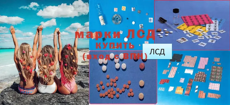 LSD-25 экстази кислота  KRAKEN вход  Курчалой  закладки 