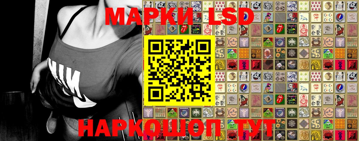 Курчалой  Марки 25I-NBOMe 1500мкг  купить наркотики цена  Марки NBOMe  Марки 25I-NBOMe 1500мкг  Вход с VPN 