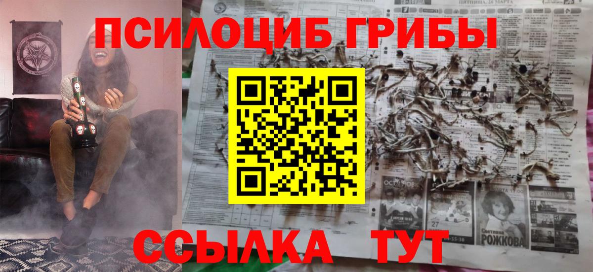 Курчалой  Псилоцибиновые грибы ЛСД  Галлюциногенные грибы Cubensis  цены наркотик  Вход с VPN 