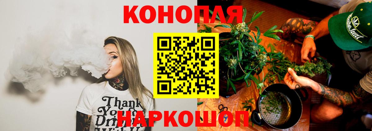 Конопля тримм  Вход с VPN  Курчалой  Каннабис MAZAR  Каннабис ГИДРОПОН 